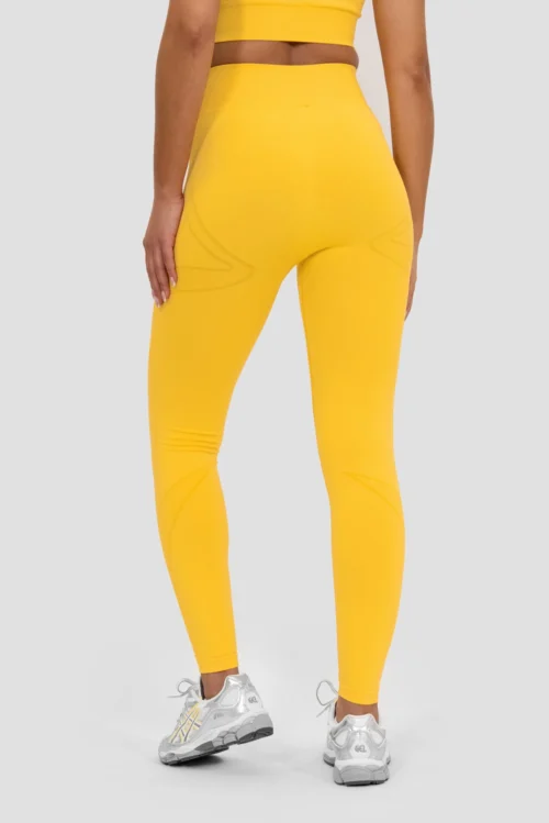 Evolve 2.0 Seamless Legging - Beam -Urban Sport Wear Store EVOLVE 2.0 SEAMLESS LEGGING BEAM close back scaled